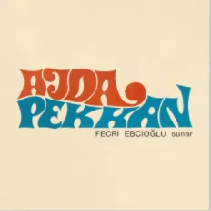 Fecri Ebcioğlu Sunar (1969) cover