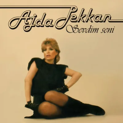 Sevdim Seni (1982) cover