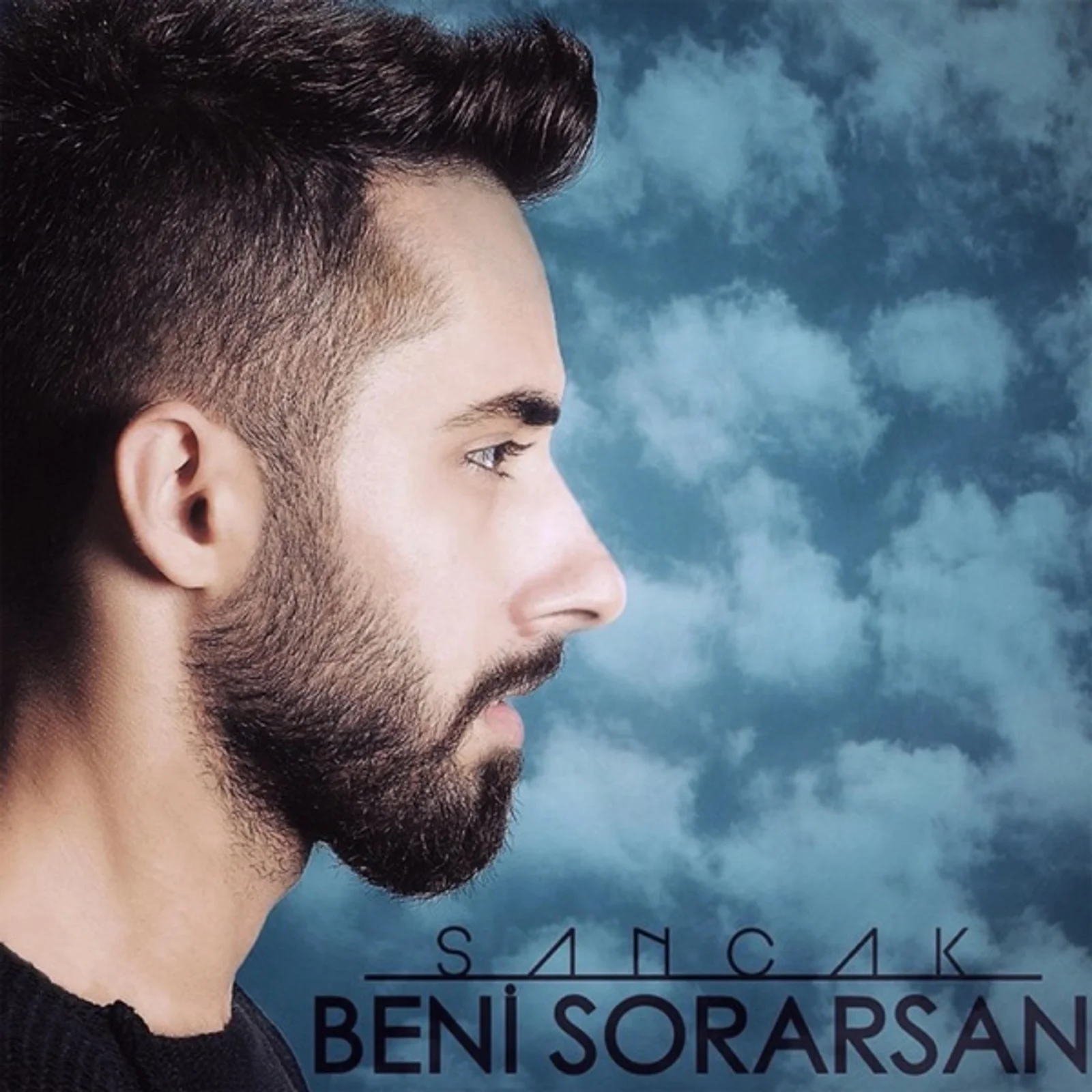 Beni Sorarsan (2015) cover