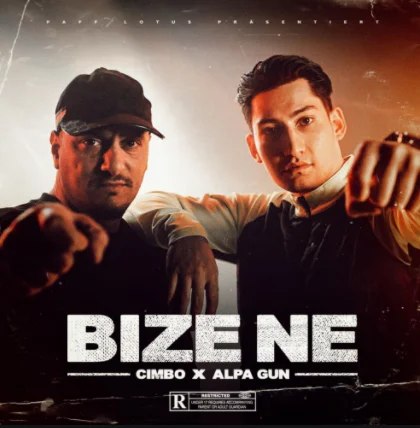 Bize Ne (2021) cover