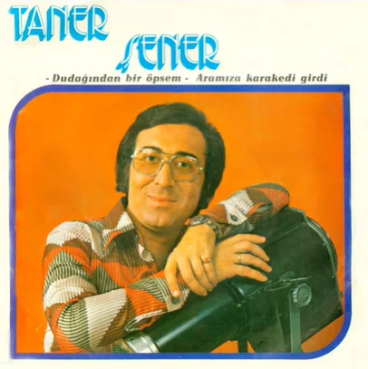 Aramıza Kara Kedi Girdi (1975) cover