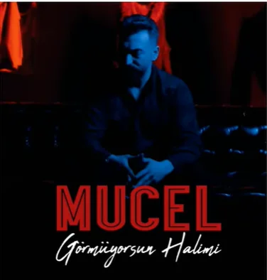 Görmüyorsun Halimi (2021) cover