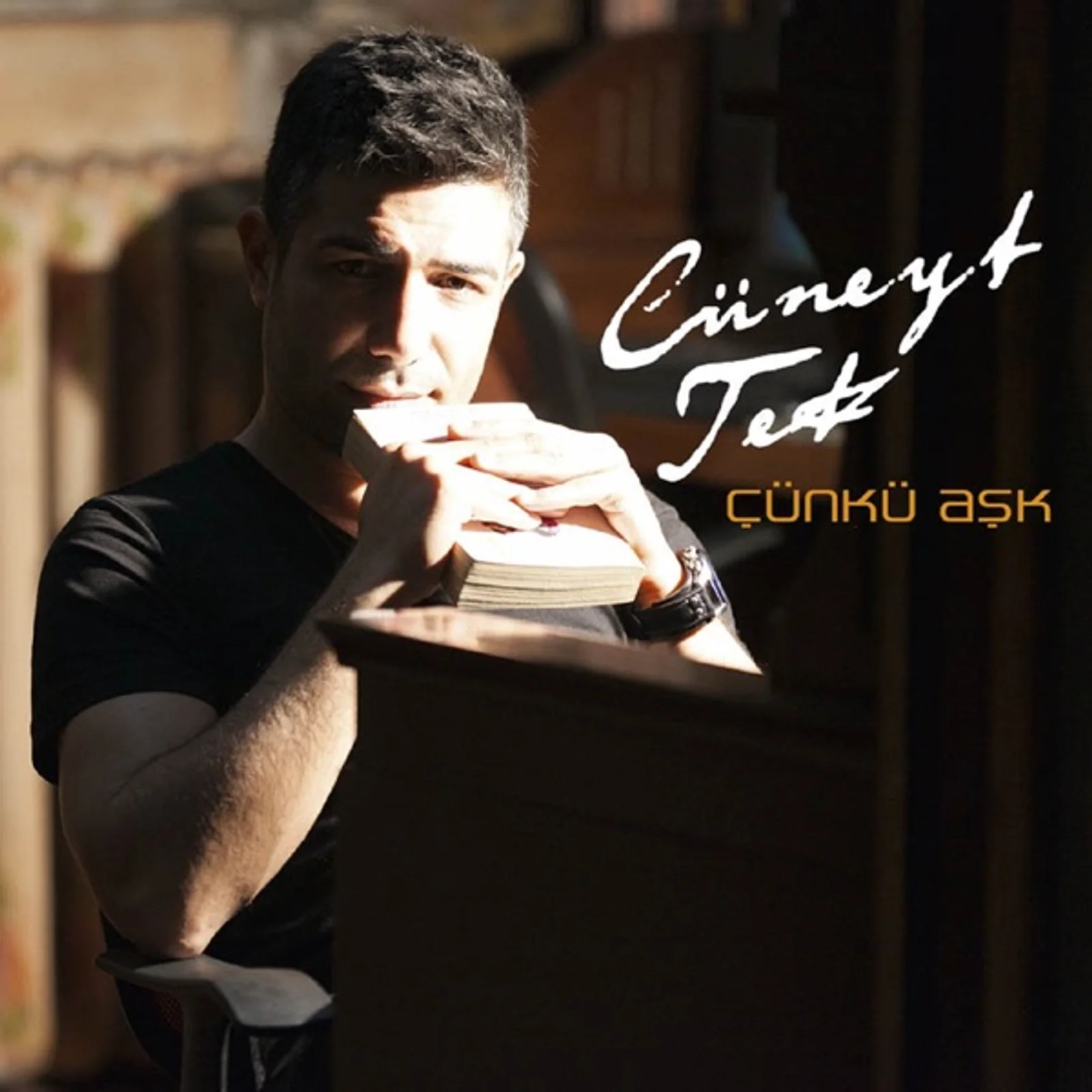 Çünkü Aşk (2014) cover