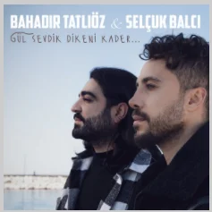Gül Sevdik Dikeni Kader (2021)