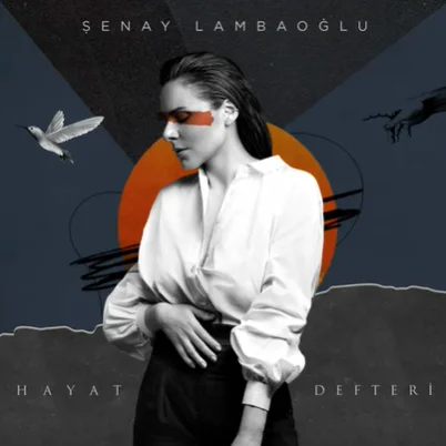 Hayat Defteri (2021) cover