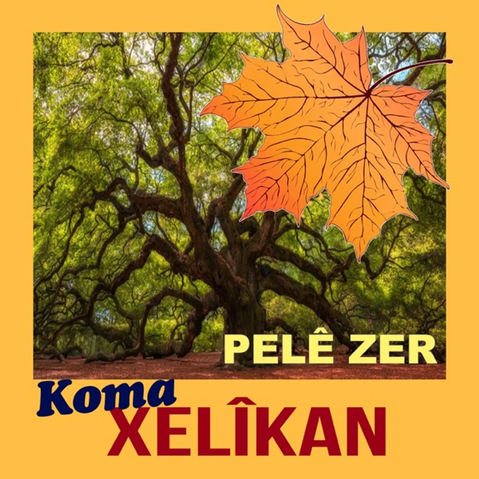 Pele Zer (2007)