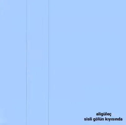 Sisli Gölün Kıyısında (2021)