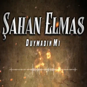 Duymadın mı (2021)