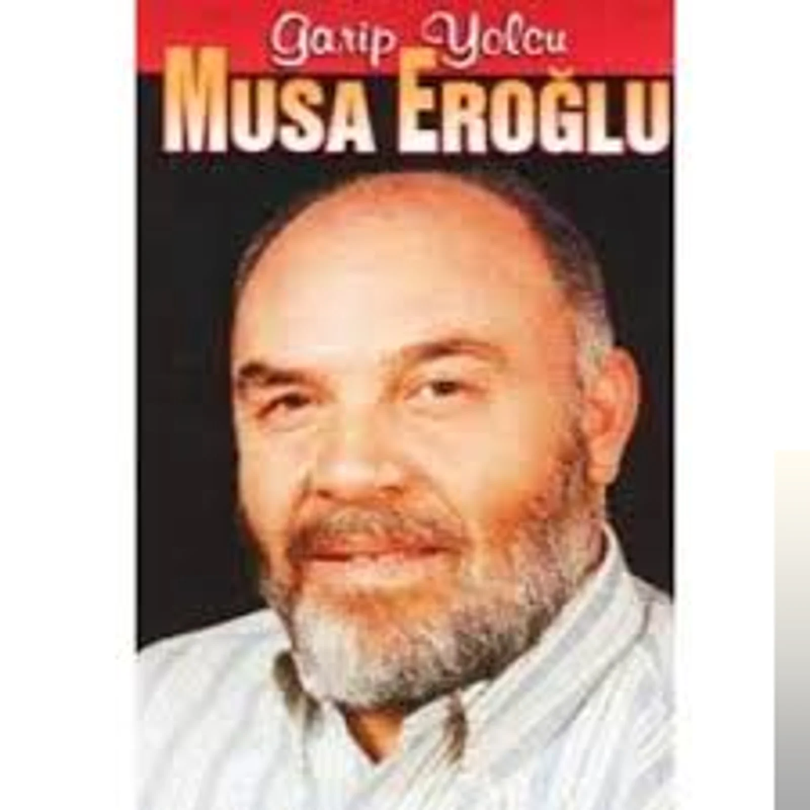 Garip Yolcu (1991) cover