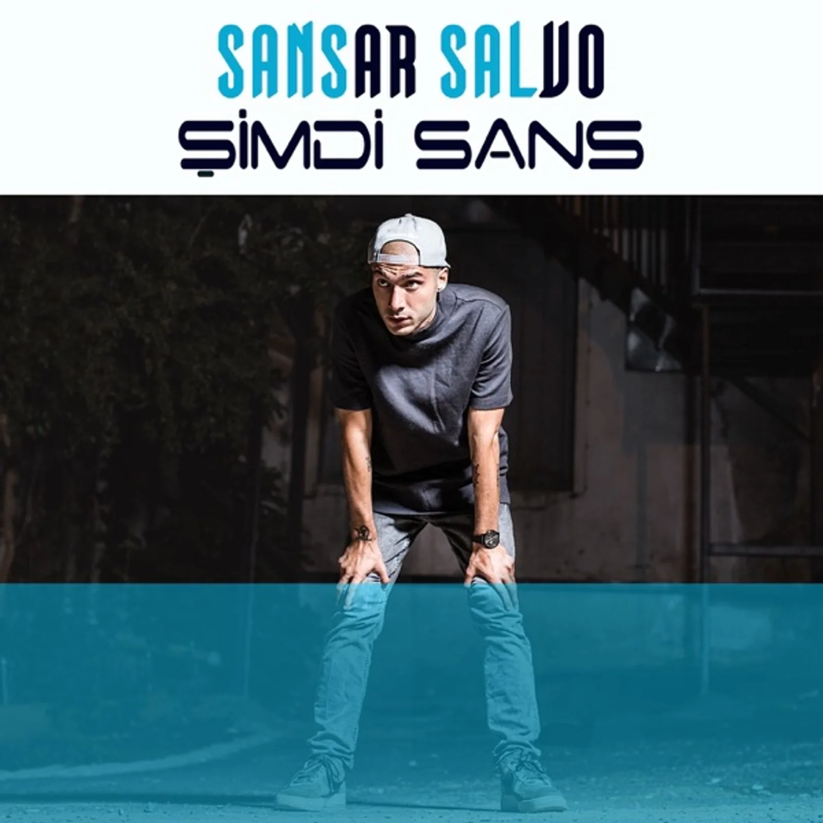 Şimdi Sans (2017)