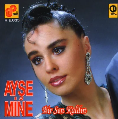 Bir Sen Kaldın (1992) cover