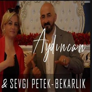 Bekarlık (2021) cover