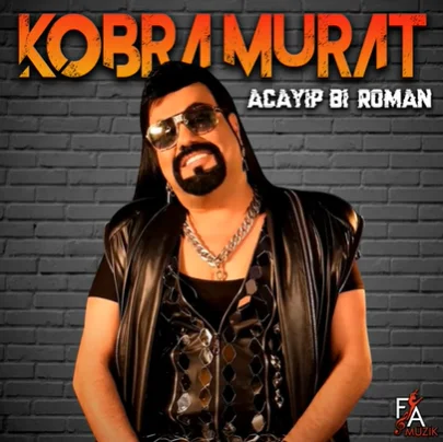 Acayip Bi Roman (2021) cover