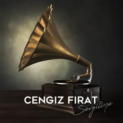 Sevgiliye (2021) cover