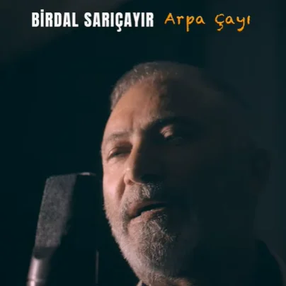 Arpa Çayı (2021) cover