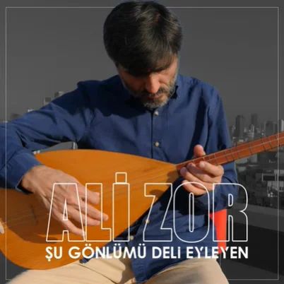 Şu Gönlümü Deli Eyleyen (2021) cover