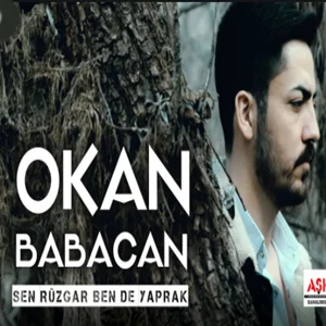 Sen Rüzgar Ben De Yaprak (2021) cover