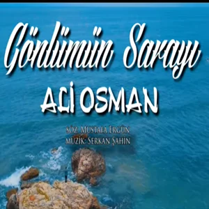 Gönlümün Sarayı (2021) cover