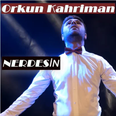 Nerdesin (2021) cover