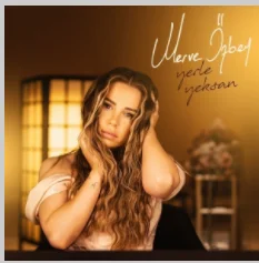 Yerle Yeksan (2021) cover