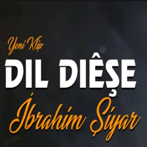 Dil Deşe (2021) cover