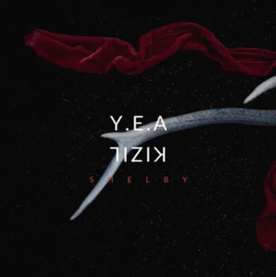 Y.E.A (2021)