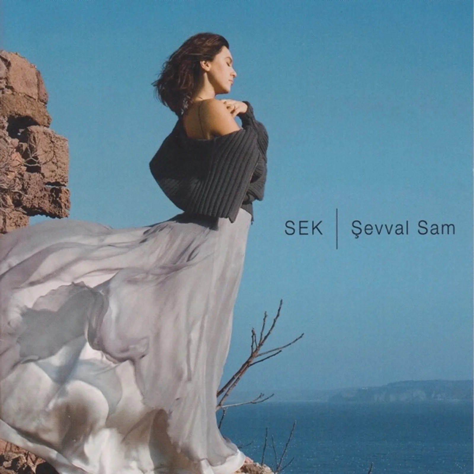 Sek (2006) cover