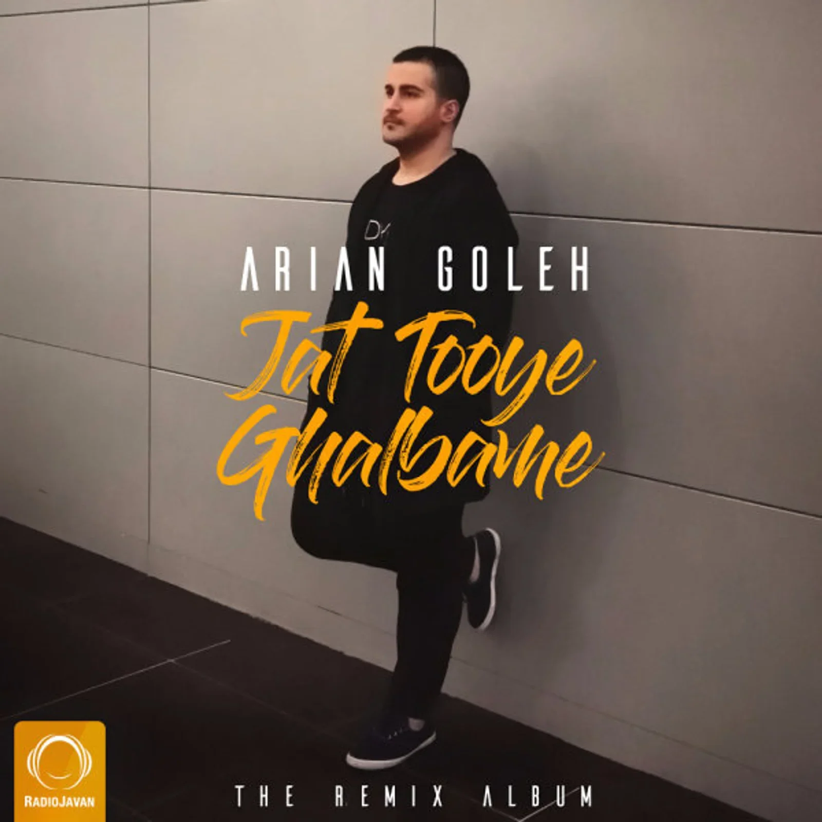 Jat Tooye Ghalbame cover