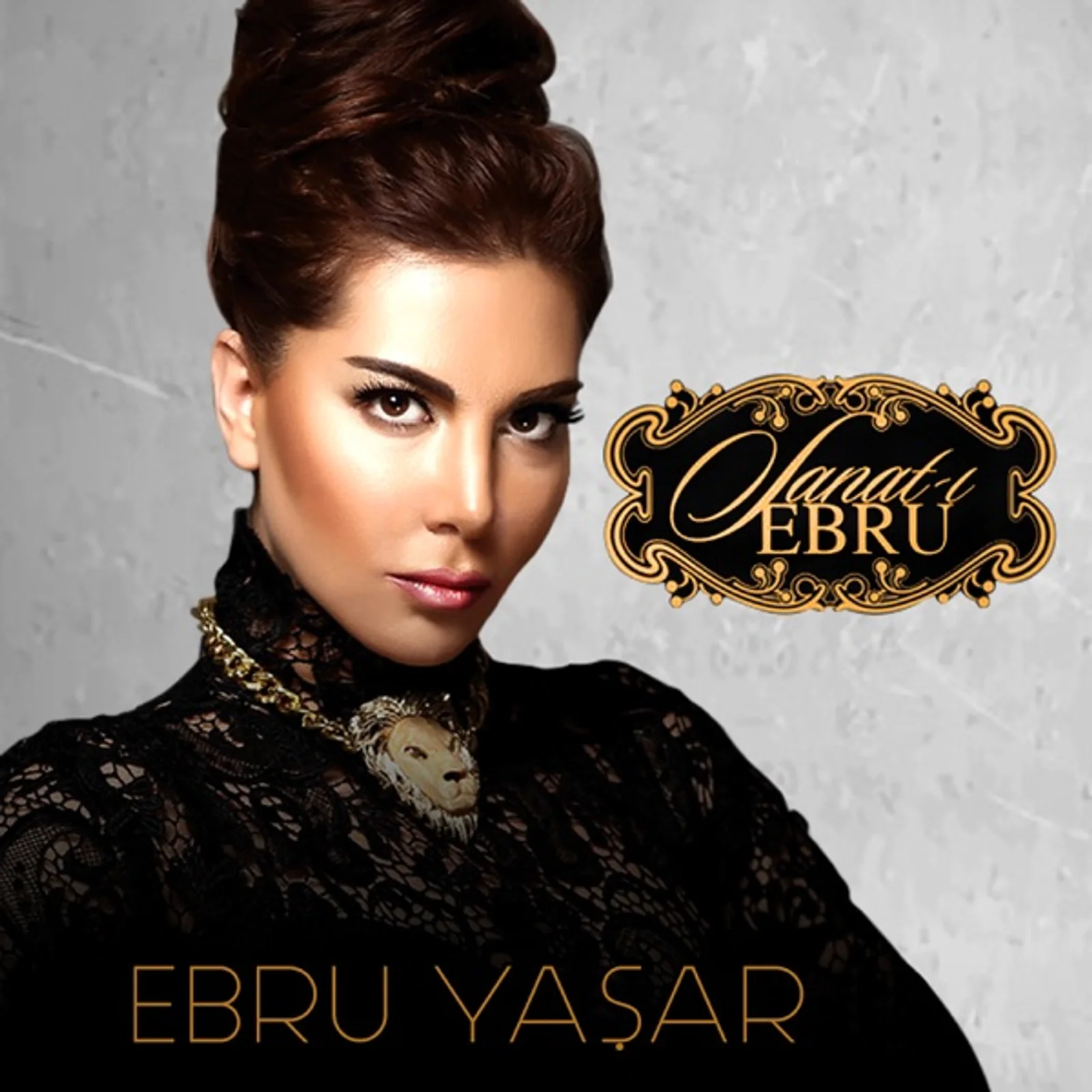 Sanat-ı Ebru (2013)
