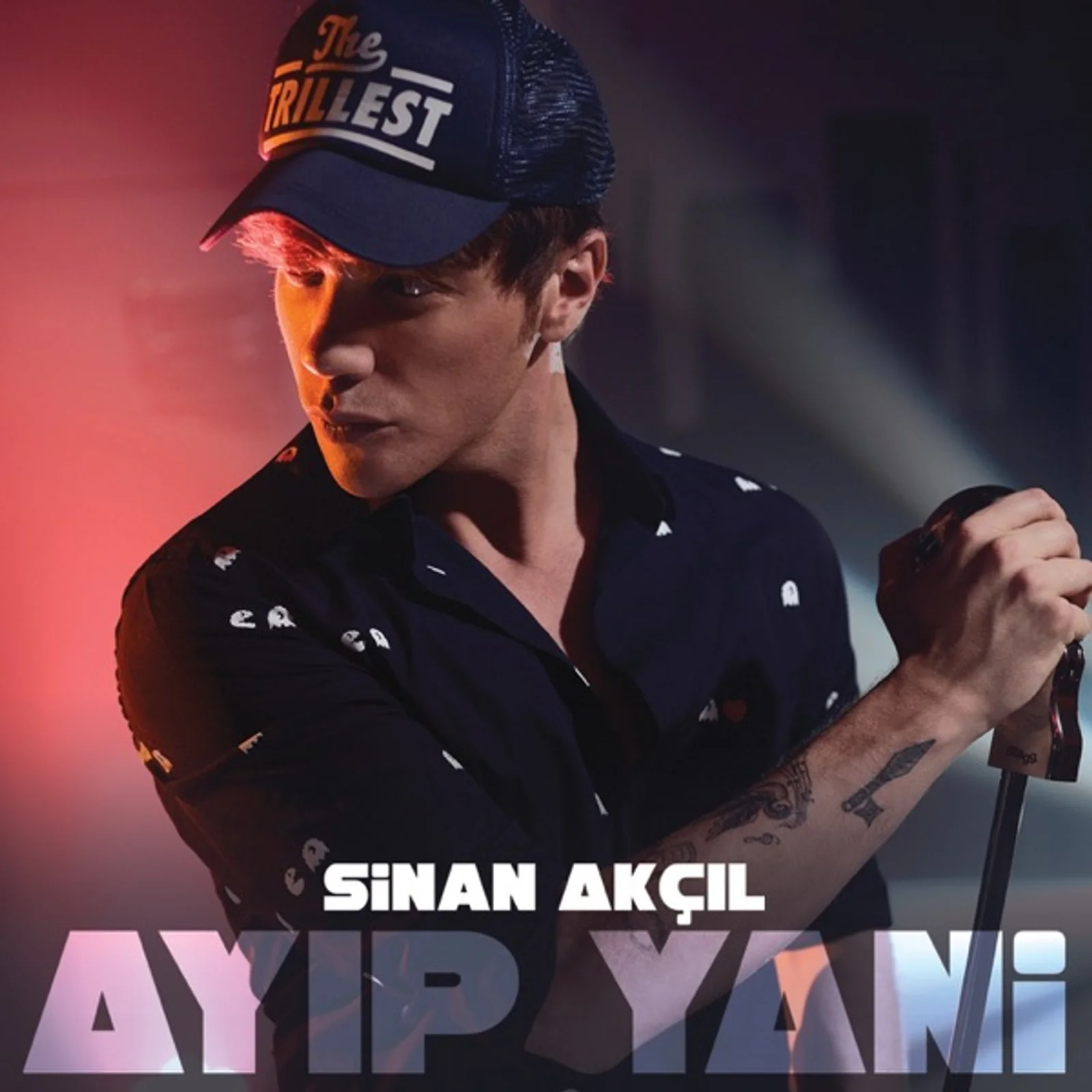 Ayıp Yani (2016) cover