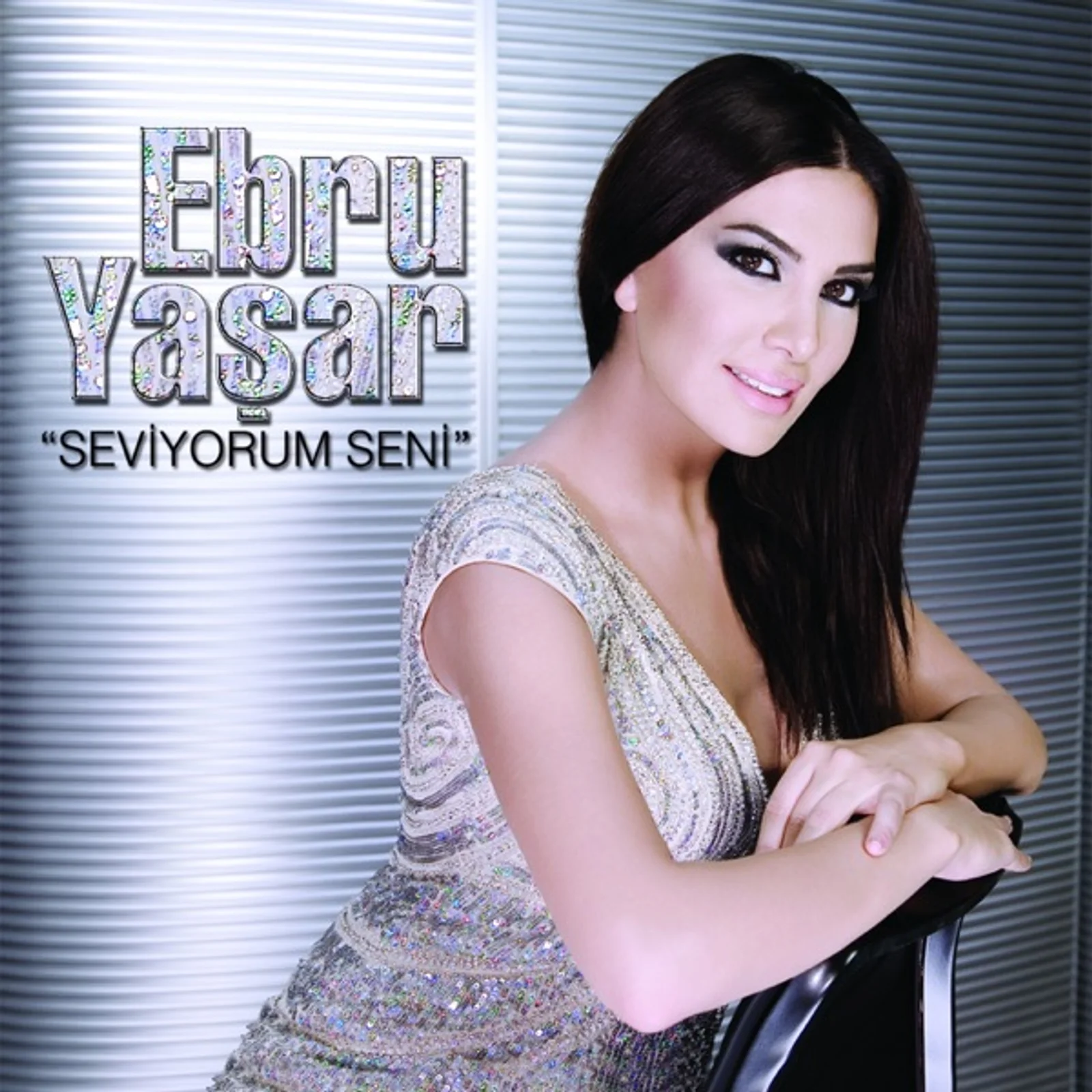 Seviyorum Seni (2008) cover