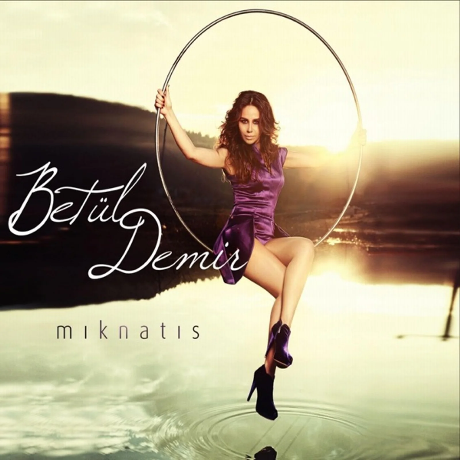 Mıknatıs (2011)