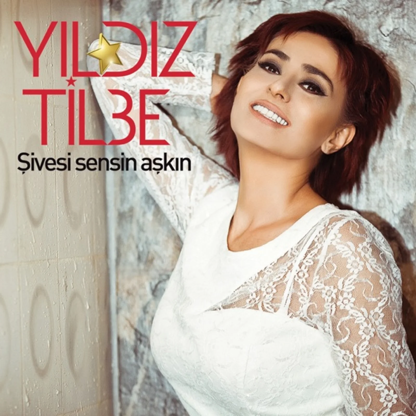 Şivesi Sensin Aşkın (2014) cover