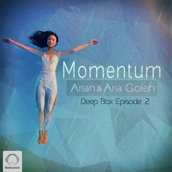 Momentum