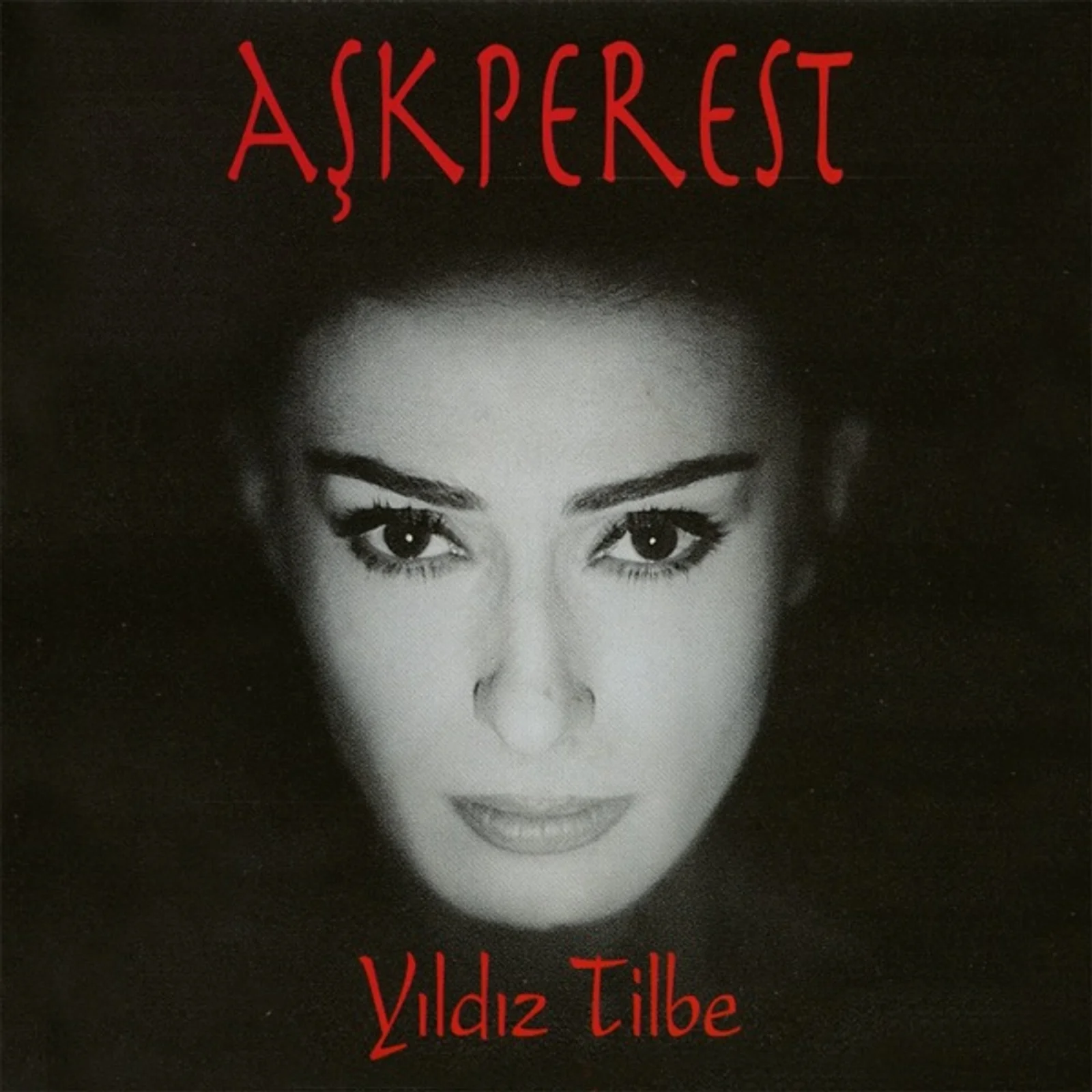 Aşkperest (1996) cover