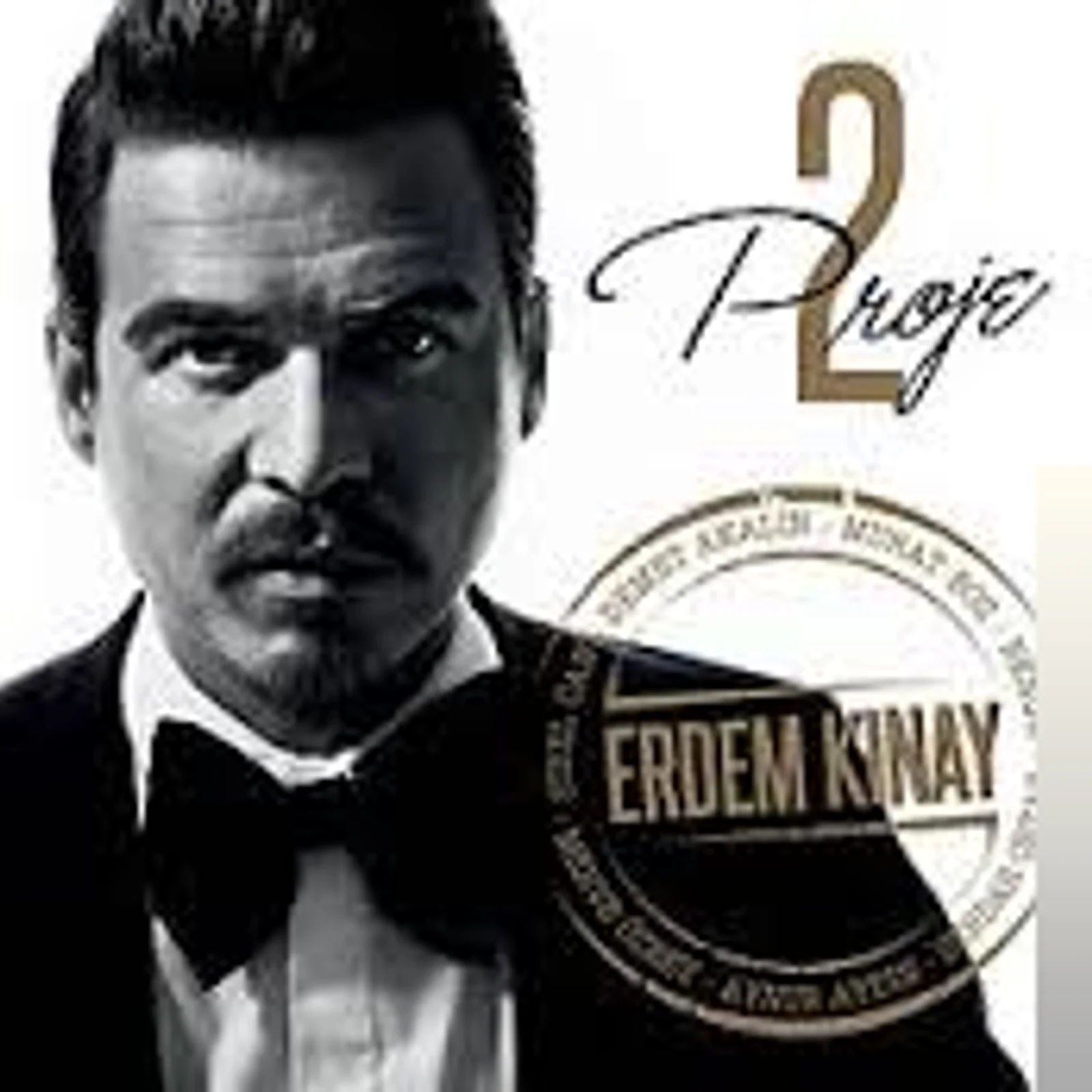 Proje 2 (2013)