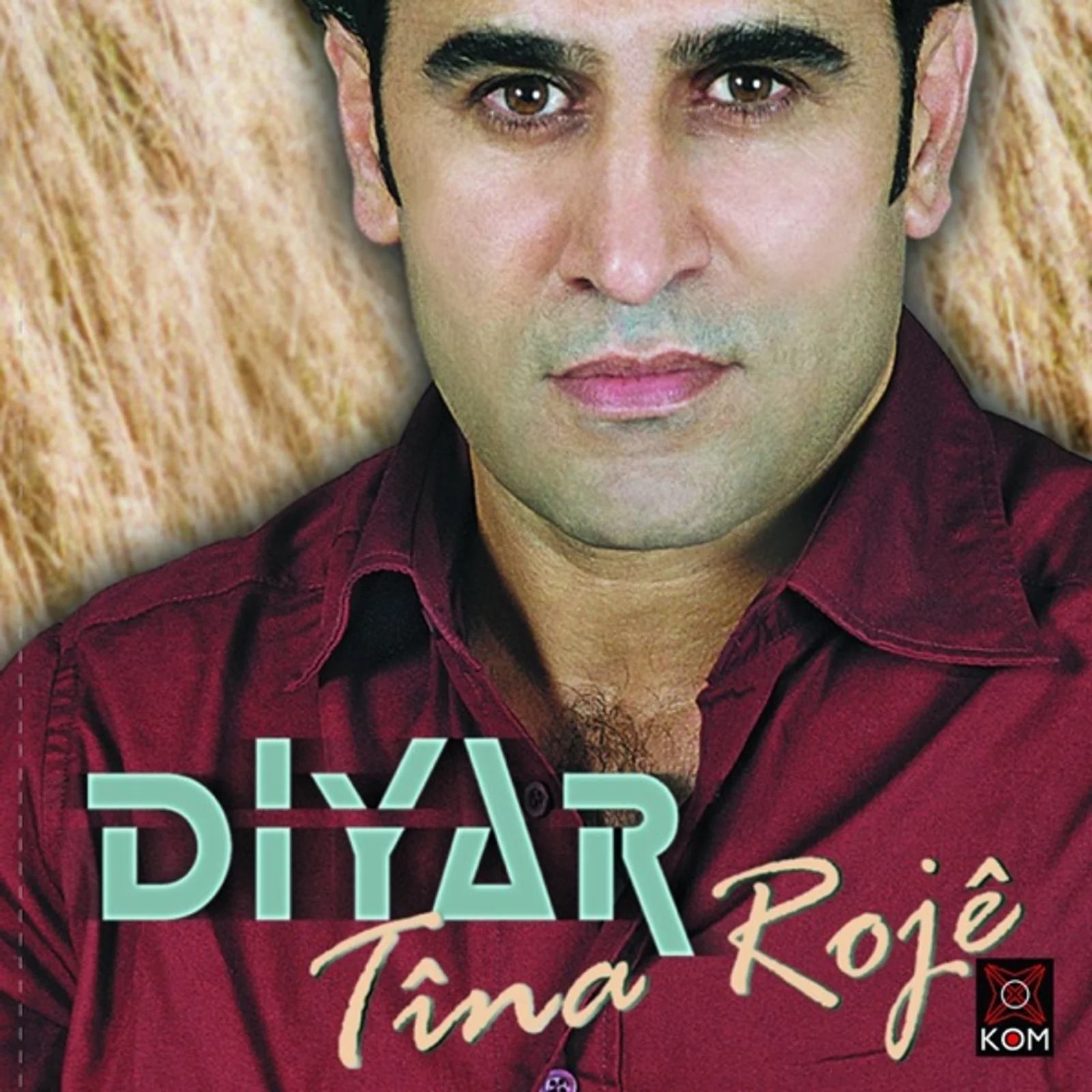 Tina Roje (2001) cover