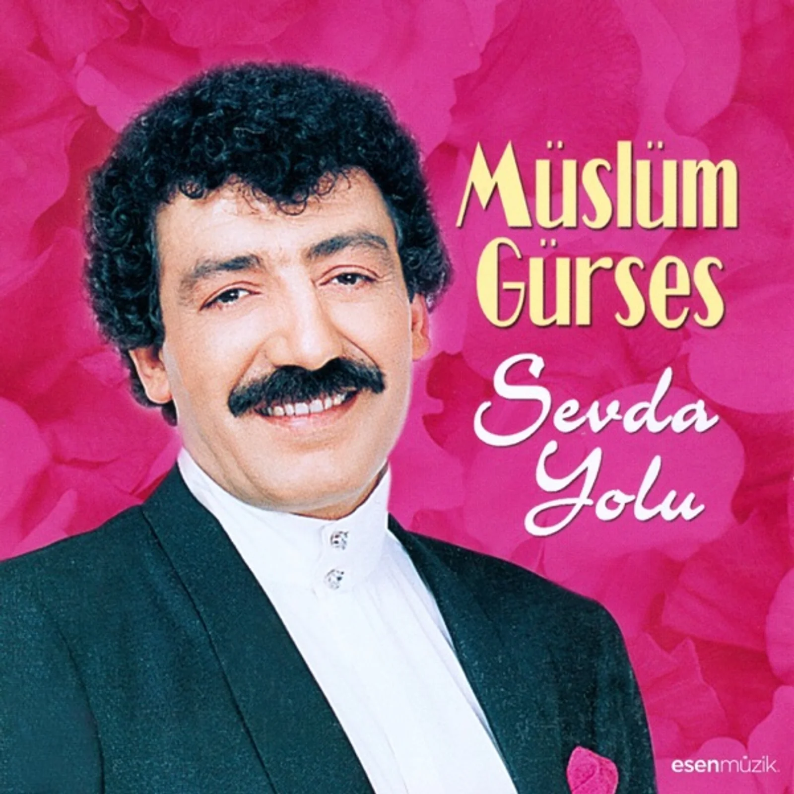 Gidecek Bir Gün (1985) cover