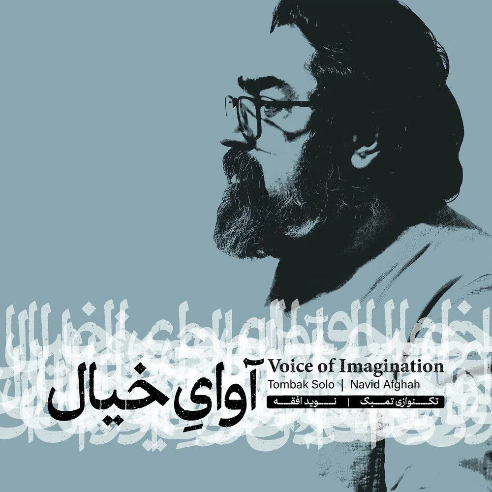 Voice Of Imagination cover