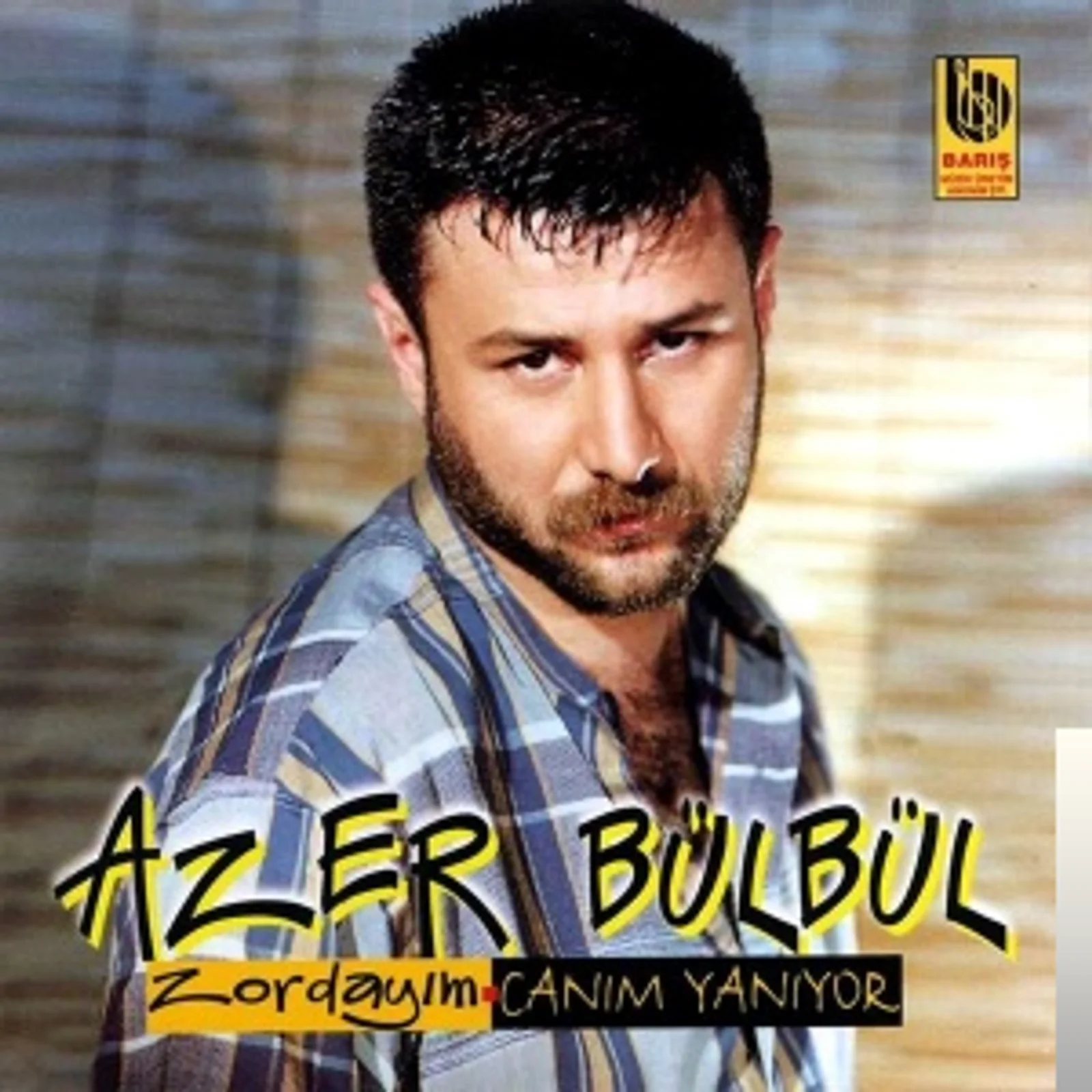 Zorundayım/Canım Yanıyor(1998) cover