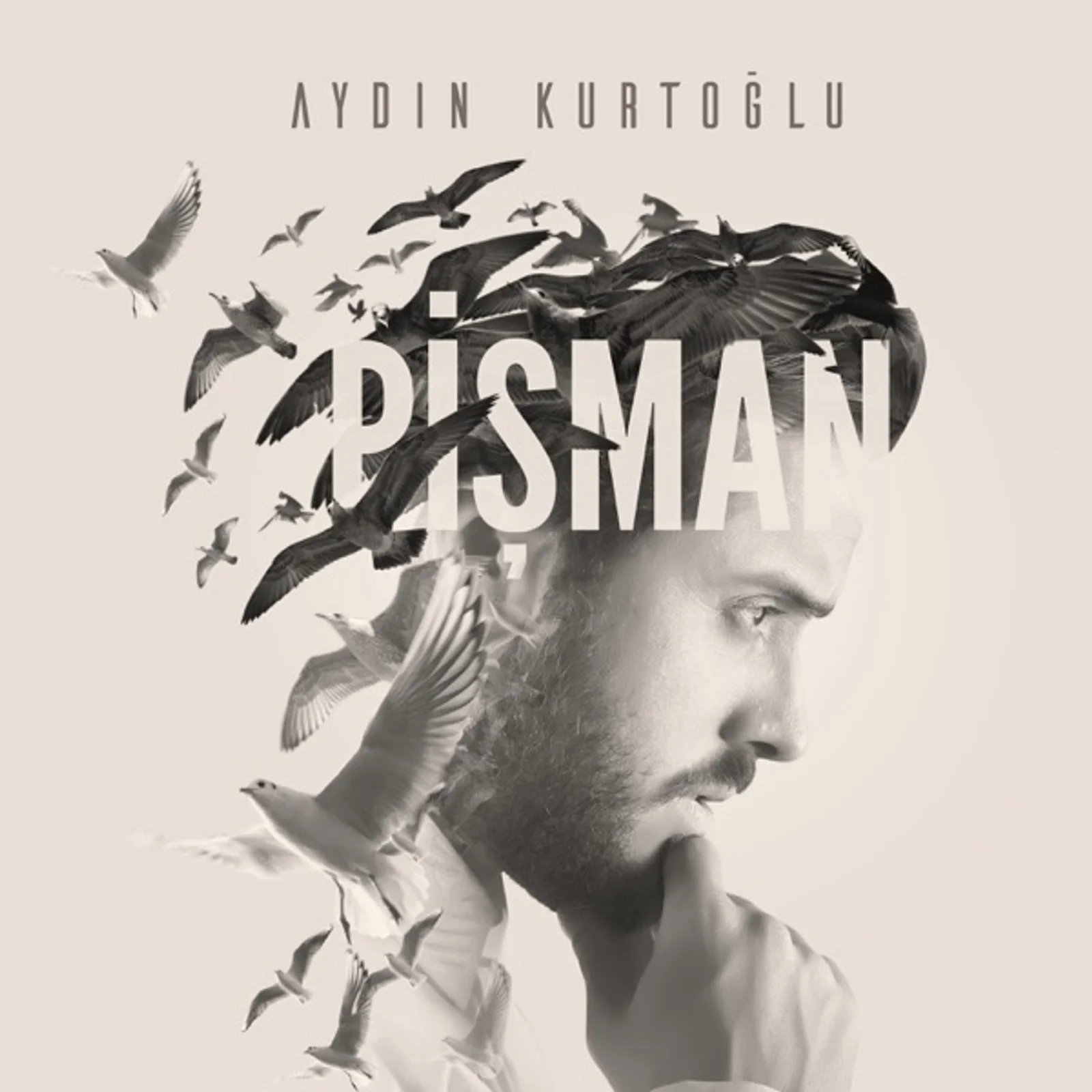 Pişman (2017) cover