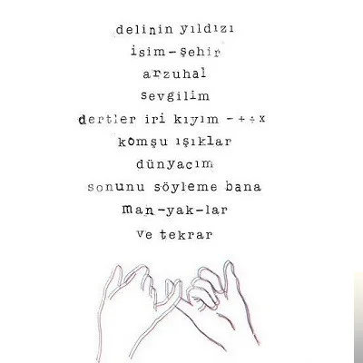 Delinin Yıldızı (2017)