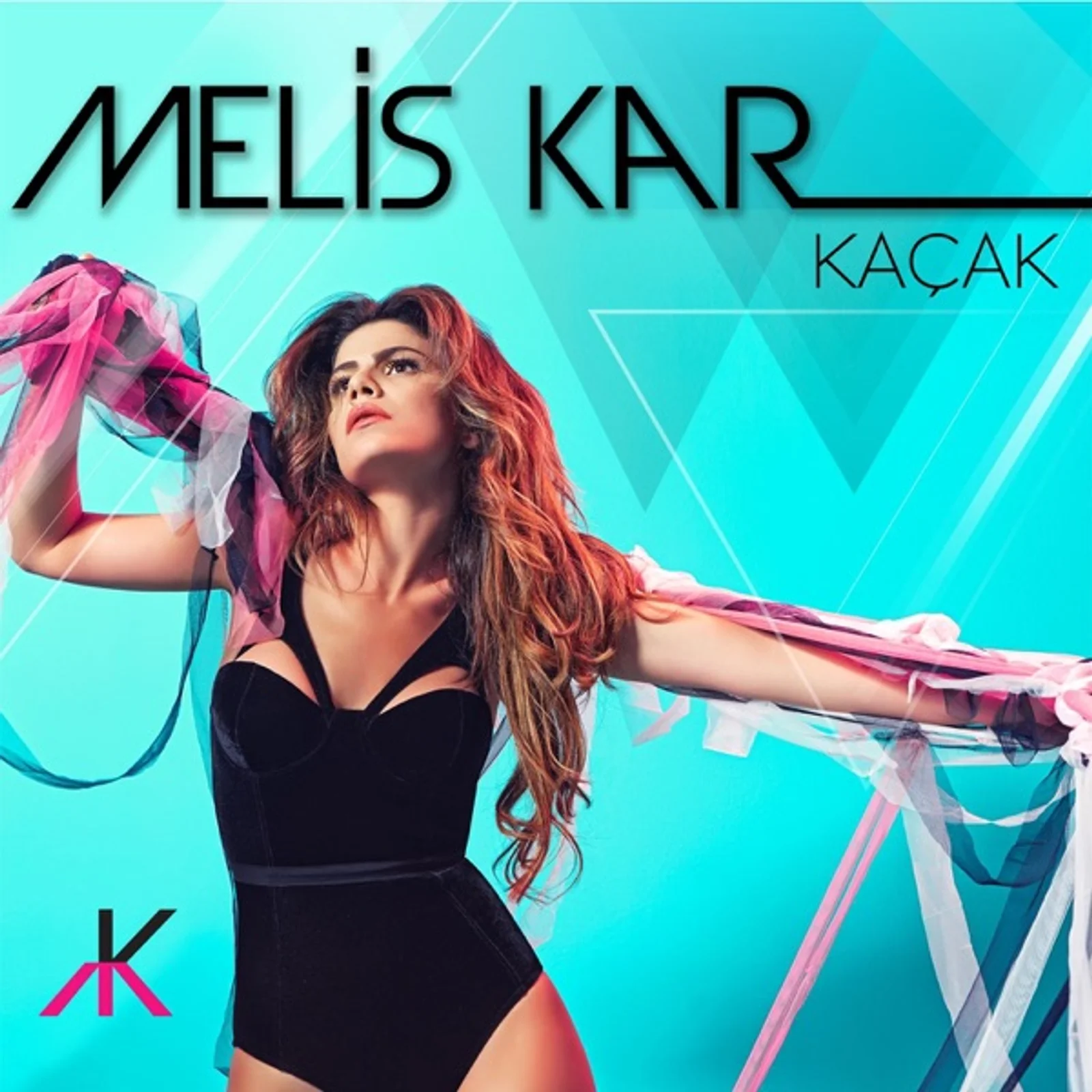Kaçak (2014) cover