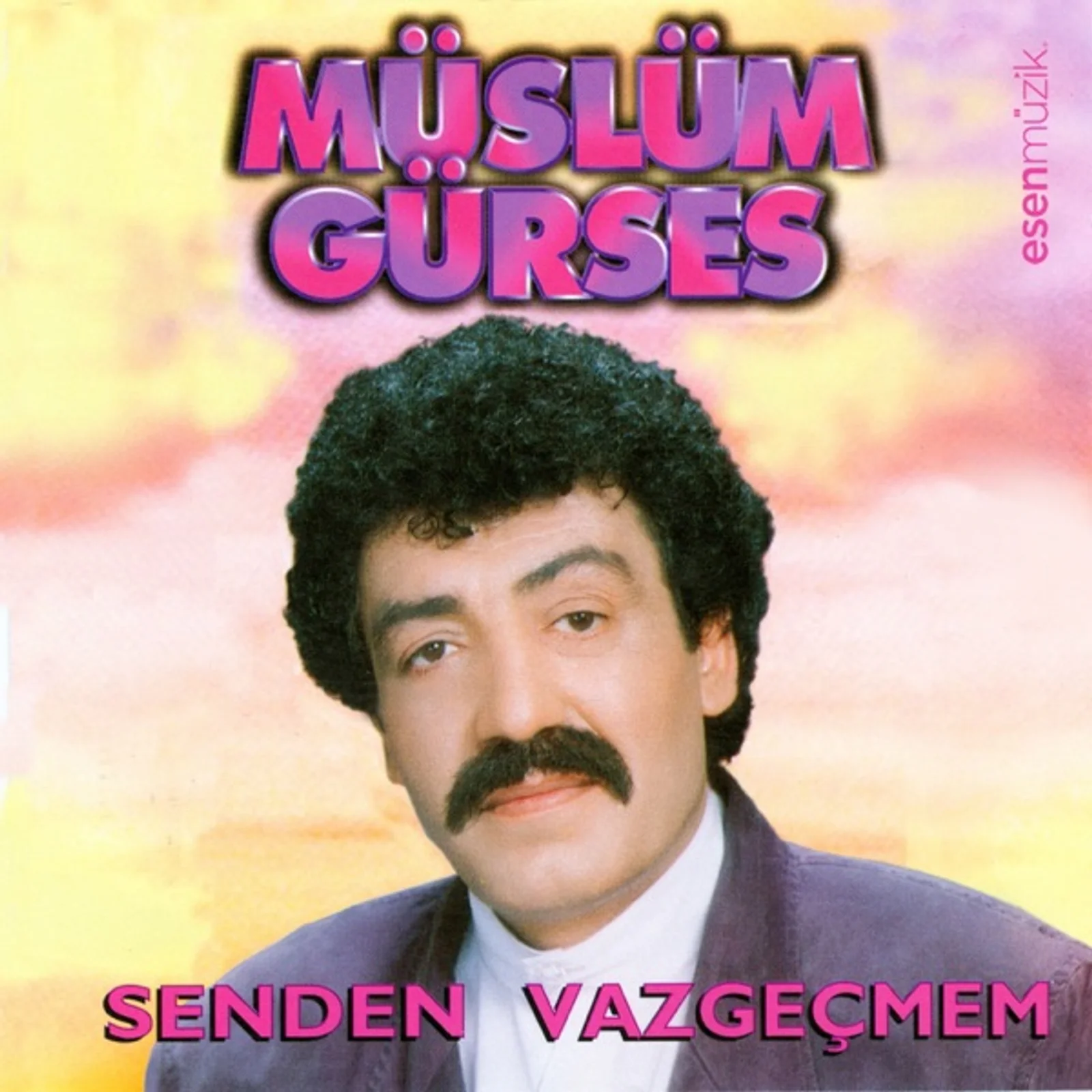 Senden Vazgeçmem (1994) cover