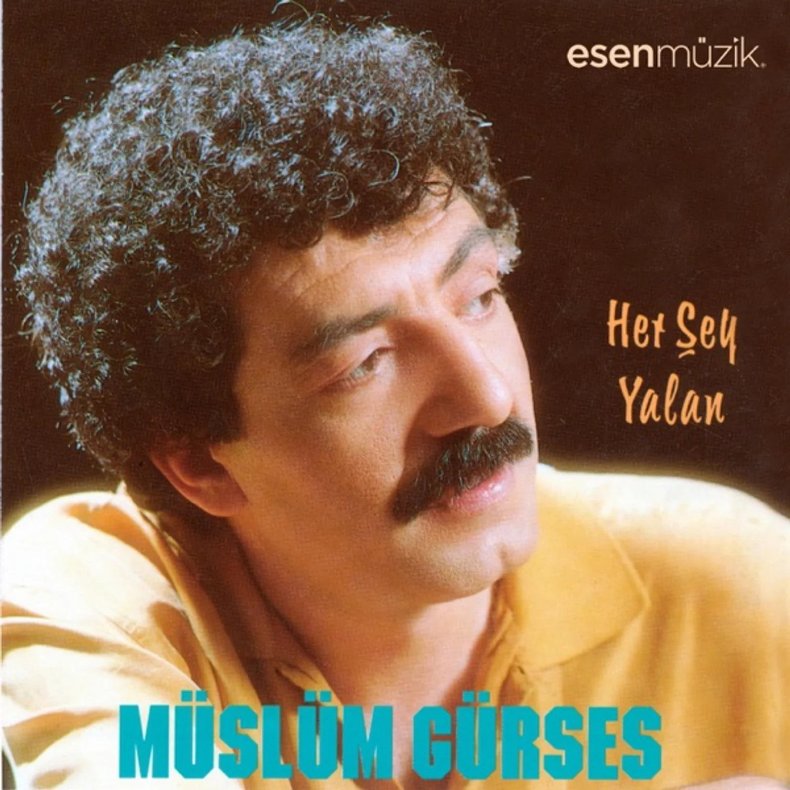 Her Şey Yalan (1991) cover