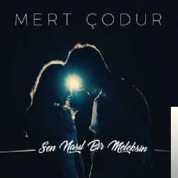 Sen Nasıl Bir Meleksin (2017)
