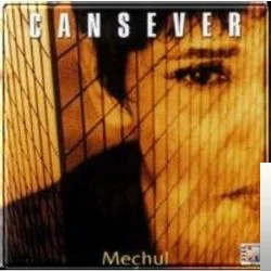 Meçhul (1997) cover