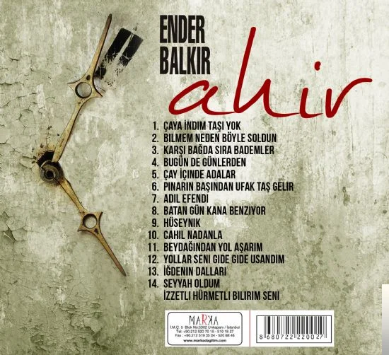 Ahir (2013) cover
