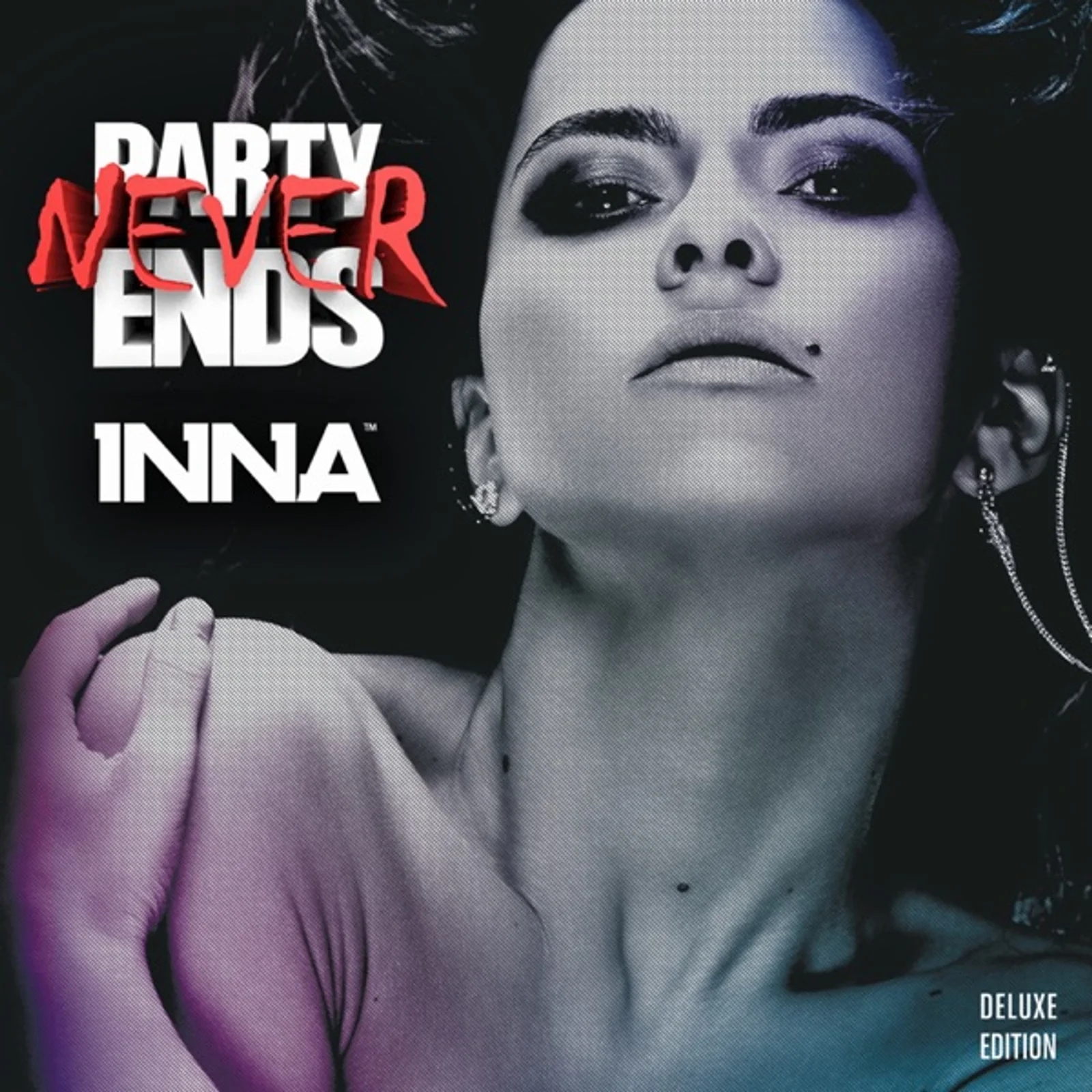 Part Never Ends (2013) cover