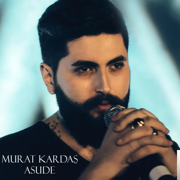 Bir Şarkı Daha Vardı (2017)